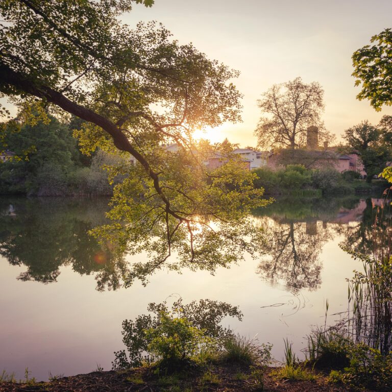 Ich biete Coaching in Berlin-Kladow, Potsdam und online via Zoom an. (Photo by Nadine Redlich on Unsplash)